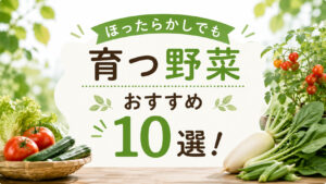 ほったらかしでも育つ野菜おすすめ10選！初心者が手間なく収穫できる環境作りのコツ,画像