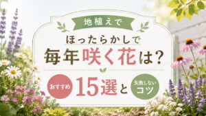 地植えでほったらかしで毎年咲く花は?おすすめ15選と失敗しないコツ,画像
